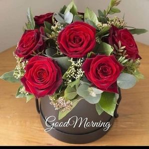 Meet your Posher, Calmo